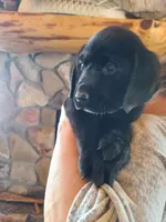 processed/b210d83b-9342-468c-a17b-08c8ea573133/facility/e4035e0f-385c-4c0f-9bec-d9e1f568ee66