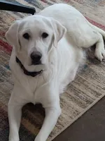 processed/b210d83b-9342-468c-a17b-08c8ea573133/facility/e9e7669d-a322-4246-80c3-13f1e8037aa4