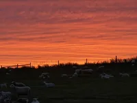 processed/b2119197-3f9a-4f63-9280-386020e49502/facility/c8290143-baec-480f-99db-e8f47ebde648