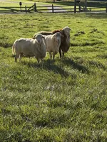 processed/b2119197-3f9a-4f63-9280-386020e49502/facility/fd15f157-c114-4062-931a-81bd933b4839