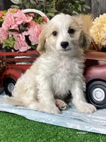 processed/b2119197-3f9a-4f63-9280-386020e49502/listing/181384ba-83d1-4561-ac00-01dbf3df817d/27793fe6-ab84-4a33-9ff1-8c9520fb62c4