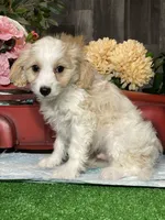 processed/b2119197-3f9a-4f63-9280-386020e49502/listing/181384ba-83d1-4561-ac00-01dbf3df817d/78c05900-c7f3-4ba3-87b1-f2771e51d69b