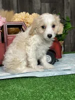 processed/b2119197-3f9a-4f63-9280-386020e49502/listing/181384ba-83d1-4561-ac00-01dbf3df817d/ed7c0724-3b6b-458f-b78d-edf554c3e381