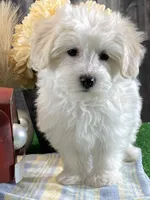 processed/b2119197-3f9a-4f63-9280-386020e49502/listing/1bebdba0-8c40-4044-9299-06c97d86b783/0173d711-39bb-4da4-a58f-898491de7c09