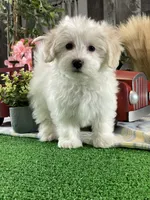 processed/b2119197-3f9a-4f63-9280-386020e49502/listing/1bebdba0-8c40-4044-9299-06c97d86b783/a1c640cd-c2cc-4b1b-8cf7-dd233188f9f3