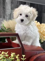 processed/b2119197-3f9a-4f63-9280-386020e49502/listing/1bebdba0-8c40-4044-9299-06c97d86b783/b04fdec0-f7ea-4d78-a0c7-0ac573f7f19c