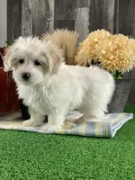 processed/b2119197-3f9a-4f63-9280-386020e49502/listing/1bebdba0-8c40-4044-9299-06c97d86b783/c5b921f3-b878-4c1e-88b2-68fb3bb1bff2