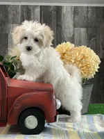 processed/b2119197-3f9a-4f63-9280-386020e49502/listing/1bebdba0-8c40-4044-9299-06c97d86b783/f086a3db-042e-44ec-95f8-b990b9502ca4