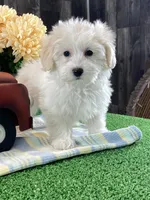 processed/b2119197-3f9a-4f63-9280-386020e49502/listing/1bebdba0-8c40-4044-9299-06c97d86b783/fc914839-4ea5-4f4e-a10a-8858af5b54f3