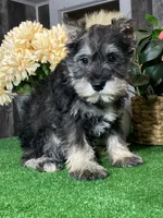 processed/b2119197-3f9a-4f63-9280-386020e49502/listing/2d9e5100-b202-40c8-9b24-02722cef180c/587f9b17-4b02-4caf-a168-d4aaf990df60