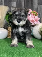 processed/b2119197-3f9a-4f63-9280-386020e49502/listing/2d9e5100-b202-40c8-9b24-02722cef180c/a7e3a270-a426-480a-8e45-a2710653d632