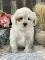 processed/b2119197-3f9a-4f63-9280-386020e49502/listing/3a990a6b-c198-4ab3-a51d-6733494620c9/a5c61486-1037-4b6d-88c5-41fadb0bc647