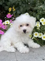 processed/b2119197-3f9a-4f63-9280-386020e49502/listing/3eab019f-bb6a-40b5-9e51-008c9a474a40/018fcaea-4d03-4b93-bed4-47d1a1fce6c7