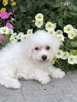 processed/b2119197-3f9a-4f63-9280-386020e49502/listing/3eab019f-bb6a-40b5-9e51-008c9a474a40/47feb349-58ac-49e2-937d-b70f468bee4f