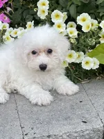 processed/b2119197-3f9a-4f63-9280-386020e49502/listing/3eab019f-bb6a-40b5-9e51-008c9a474a40/7468837e-8289-4331-8f4f-f067ac9d7b45