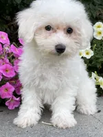 processed/b2119197-3f9a-4f63-9280-386020e49502/listing/3eab019f-bb6a-40b5-9e51-008c9a474a40/7fab8950-4852-426e-a251-96af7229420c