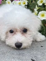 processed/b2119197-3f9a-4f63-9280-386020e49502/listing/3eab019f-bb6a-40b5-9e51-008c9a474a40/82167dc4-5d07-4f38-84a1-b0f1d19c2c1a