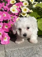 processed/b2119197-3f9a-4f63-9280-386020e49502/listing/4ff83fe6-976a-4175-839e-d9c87729fb87/5ea0bbc2-1805-4aa2-8e86-8d03abb2ed7c