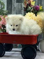 processed/b2119197-3f9a-4f63-9280-386020e49502/listing/5064ca4f-d720-45b6-a95b-3ef3b29bdaba/df041d4a-2c10-4dbf-8eca-d77f092707b9