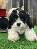 processed/b2119197-3f9a-4f63-9280-386020e49502/listing/52b4e266-c1d5-413a-8f4c-e1b0169ab40a/4df5c388-aab7-45ef-9749-c0a0ccefabcb