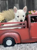 processed/b2119197-3f9a-4f63-9280-386020e49502/listing/5a611338-931c-4a2e-9aaa-6c261dd261d3/5f15c23d-375e-42c7-a864-865893609ca8