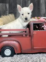 processed/b2119197-3f9a-4f63-9280-386020e49502/listing/5a611338-931c-4a2e-9aaa-6c261dd261d3/aa74453a-c84c-4ff7-93ae-a8b6f3d94b20