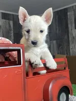 processed/b2119197-3f9a-4f63-9280-386020e49502/listing/5a611338-931c-4a2e-9aaa-6c261dd261d3/ed3aff8d-ce6d-46f1-b08e-f25468517f48