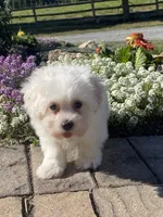 processed/b2119197-3f9a-4f63-9280-386020e49502/listing/8aa54506-3866-4af9-a404-3358f98a1f3a/98e4f40a-6cc8-47e7-ac8f-ddb4af6fd801