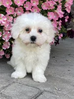 processed/b2119197-3f9a-4f63-9280-386020e49502/listing/8aa54506-3866-4af9-a404-3358f98a1f3a/b1e7edf2-b50c-4196-991d-4ded0735b74b