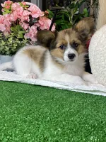 processed/b2119197-3f9a-4f63-9280-386020e49502/listing/945dd065-2968-4f1a-9b54-5dcbca23797c/0b911e63-8484-4f21-b949-e00dc39d7513