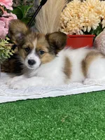 processed/b2119197-3f9a-4f63-9280-386020e49502/listing/945dd065-2968-4f1a-9b54-5dcbca23797c/4e124cf7-869a-4c61-81dc-03cfe31ea755