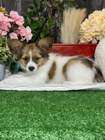 processed/b2119197-3f9a-4f63-9280-386020e49502/listing/945dd065-2968-4f1a-9b54-5dcbca23797c/7331b2cd-1751-47be-b156-9c219079aa5c