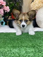 processed/b2119197-3f9a-4f63-9280-386020e49502/listing/945dd065-2968-4f1a-9b54-5dcbca23797c/9f61d3b6-f93a-4b66-bffe-1b9ad0665b38