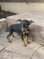 processed/b2119197-3f9a-4f63-9280-386020e49502/listing/ade2436e-6dd6-4e82-926c-ad5baf518f27/0cb2bcad-2844-4259-b9a4-6c8c70eb0ff0