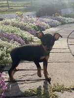 processed/b2119197-3f9a-4f63-9280-386020e49502/listing/ade2436e-6dd6-4e82-926c-ad5baf518f27/0e090dcd-10f4-4474-893b-79a8f23cb14a