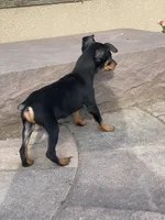 processed/b2119197-3f9a-4f63-9280-386020e49502/listing/ade2436e-6dd6-4e82-926c-ad5baf518f27/25e6737a-079f-498d-98fa-9ba292919719