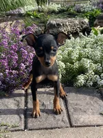 processed/b2119197-3f9a-4f63-9280-386020e49502/listing/ade2436e-6dd6-4e82-926c-ad5baf518f27/a54dc702-2dc3-46a6-80be-c040a47f17bc