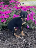 processed/b2119197-3f9a-4f63-9280-386020e49502/listing/ade2436e-6dd6-4e82-926c-ad5baf518f27/a7bbec61-faa8-4ea1-a8fd-4b6c1f29848e