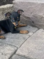 processed/b2119197-3f9a-4f63-9280-386020e49502/listing/ade2436e-6dd6-4e82-926c-ad5baf518f27/c576c304-4edf-469e-a08e-a556b43a8017