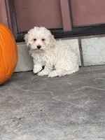 processed/b2119197-3f9a-4f63-9280-386020e49502/listing/b476c481-2f8b-4029-a21f-5f5f92747b37/52af4310-e749-4544-b884-55414c8f693a