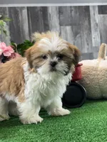 processed/b2119197-3f9a-4f63-9280-386020e49502/listing/b6cfb10f-29f8-4d4c-91ac-41027c6468c4/045f2455-9372-422a-9942-fcd1093cab20