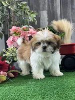 processed/b2119197-3f9a-4f63-9280-386020e49502/listing/b6cfb10f-29f8-4d4c-91ac-41027c6468c4/98b0f879-77e1-4cbb-8c3d-4a5812c50193