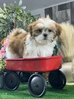 processed/b2119197-3f9a-4f63-9280-386020e49502/listing/b6cfb10f-29f8-4d4c-91ac-41027c6468c4/e7508e0c-d1e3-46f0-95dd-775f7b8b17e4