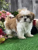 processed/b2119197-3f9a-4f63-9280-386020e49502/listing/b6cfb10f-29f8-4d4c-91ac-41027c6468c4/eada3e3f-3024-43d1-b88f-0c4394cf5a4d