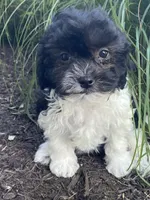 processed/b2119197-3f9a-4f63-9280-386020e49502/listing/ba7b3d3a-3dd4-45df-9c90-90d66144dff5/a491b0cd-1590-4dbd-89ad-fa26897e9bad