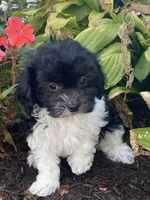 processed/b2119197-3f9a-4f63-9280-386020e49502/listing/ba7b3d3a-3dd4-45df-9c90-90d66144dff5/ef137d53-ce24-4670-94f9-037716ca7039