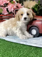 processed/b2119197-3f9a-4f63-9280-386020e49502/listing/bb17eab6-5f4c-42bf-81a5-8edcdb9a212e/25ef3da5-96a7-47f0-ba2d-d71aa3a09afd