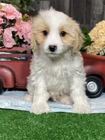 processed/b2119197-3f9a-4f63-9280-386020e49502/listing/bb17eab6-5f4c-42bf-81a5-8edcdb9a212e/f2ebbfb3-1b88-4b1d-9f49-e8164da5aede