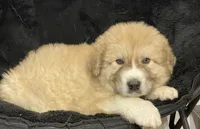 processed/b2119197-3f9a-4f63-9280-386020e49502/listing/c1ed01ef-4174-4957-8815-45e71e847a0d/2d3a7388-d6ec-4fd7-bc95-cc5eebdc534c