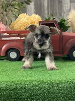 processed/b2119197-3f9a-4f63-9280-386020e49502/listing/c982cdb0-c753-485d-9eb5-4293a9d9636e/ac2fea64-0e09-4ce2-b8c8-bf6b7d400ee4